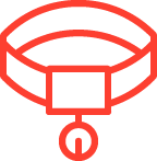 Εξετάσεις & Περίθαλψη